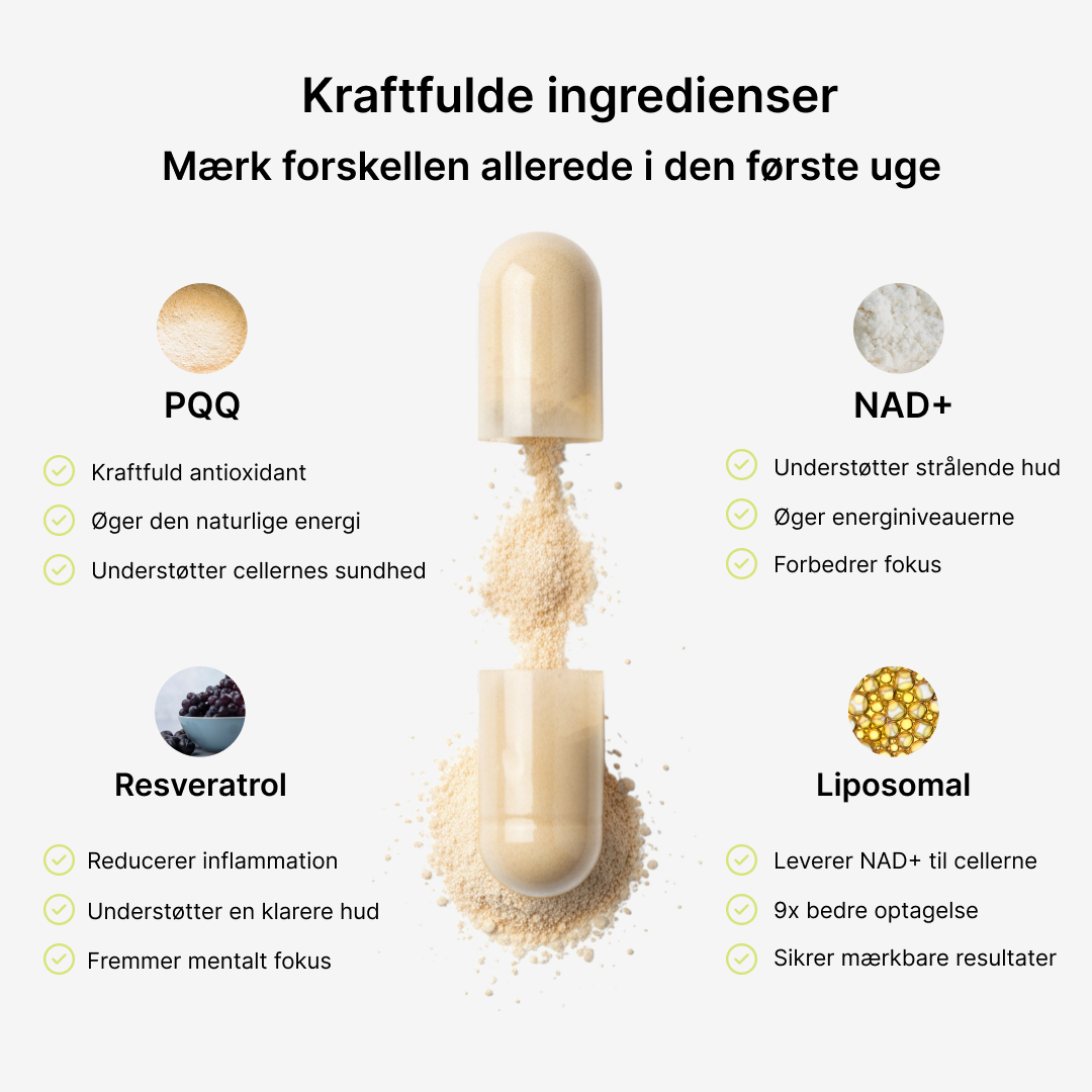 RevitaNord NAD+